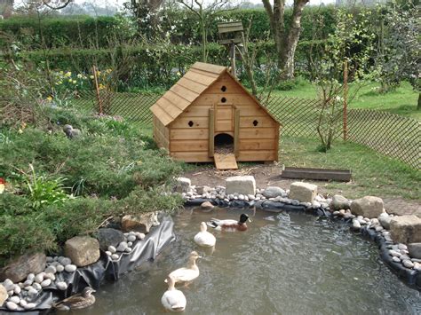 By adding a duck pond to your property, you can introduce nature to your backyard in a way that is. Pin on Ducks