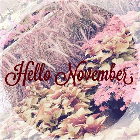 Hello November | Hello november, Facebook timeline covers, Sweet november