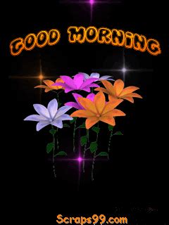 In good morning category page 1, you will get beautiful animated gifs and awesome glitter images. Good morning flowers gif 6 » GIF Images Download