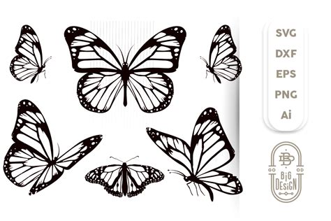 Butterfly Design SVG