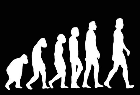 Evolucion Runrunes