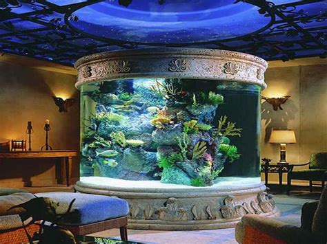 Fish Tank In Housefish Tank 800×600 Amazing Aquariums Fish Tank