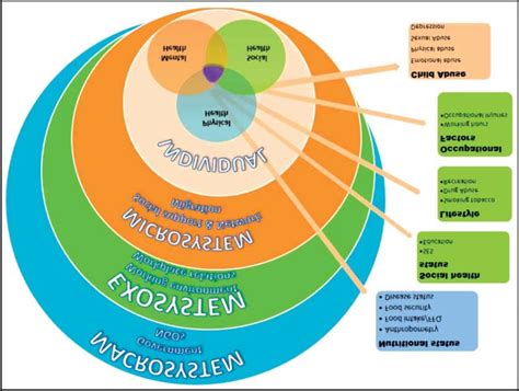 Bronfenbrenner S Ecological Model Of Development Ecological Systems