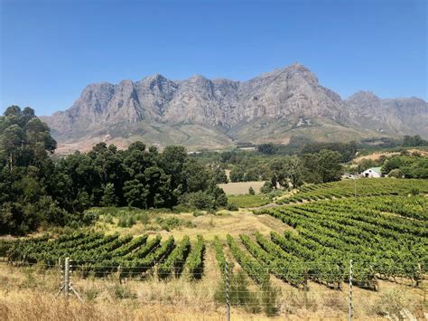 8 Great Wineries To Visit Near Cape Town Free Two Roam