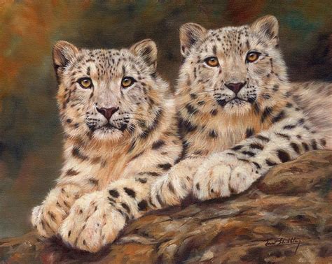 Snow Leopards Painting By David Stribbling