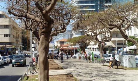 Top 12 Walking Tours In Tel Avivisrael To Explore The City