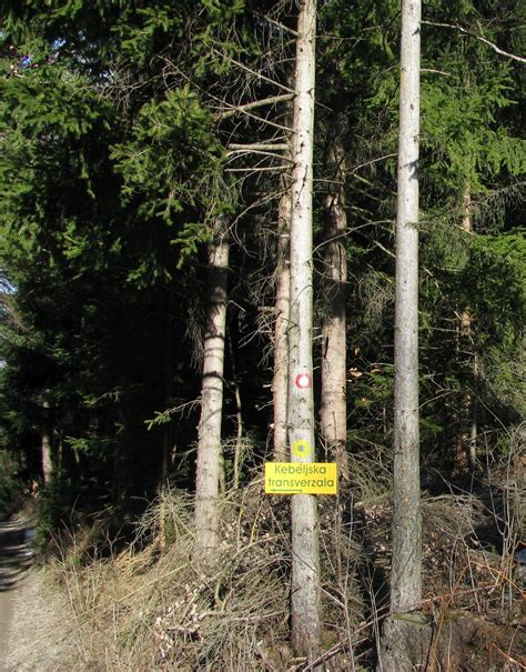 Kebelj Trail Tic Slovenska Bistrica