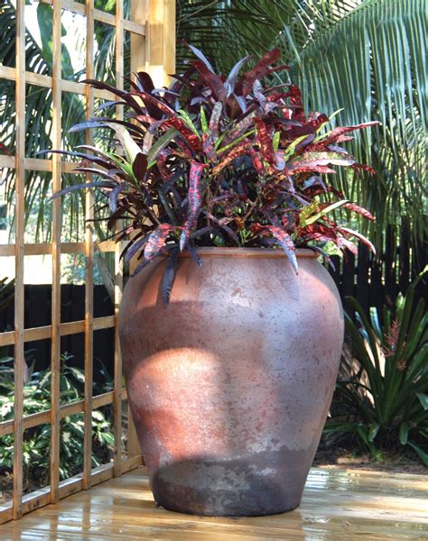 Container Gardens Palm Beach Landscape Designer Pamela Crawford