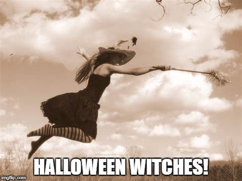 Halloween Witches Imgflip