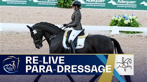 Re Live Para Dressage Grade Iv Individual Fei World Equestrian