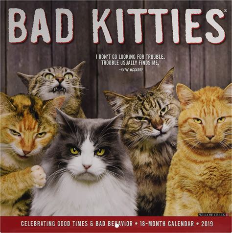 Bad Kitties 2019 Wall Calendar Calendar Wall Calendar July 15 2018
