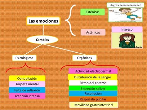 Los Procesos Afectivos