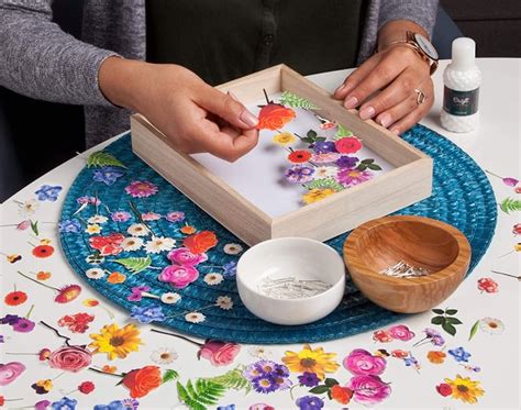 the best craft kits for adults on amazon popsugar smart living