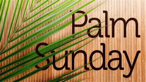 Church Powerpoint Template Palm Sunday 3