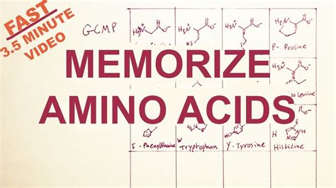 Easy Memorize The Twenty Amino Acids Structure And Code Tryptophan