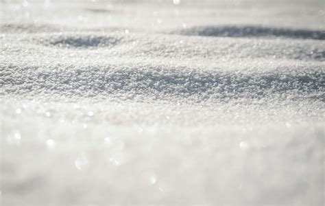 Snow Covered Ground · Free Stock Photo