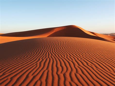 Kalahari Desert Arid Landscape Characteristics In The Kalahari Desert