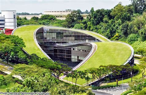 Design Dautore Green Roof Art School In Singapore