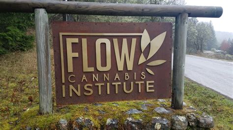 Once High Flying Flow Cannabis Co Falls To Earth Amid Woes Offering