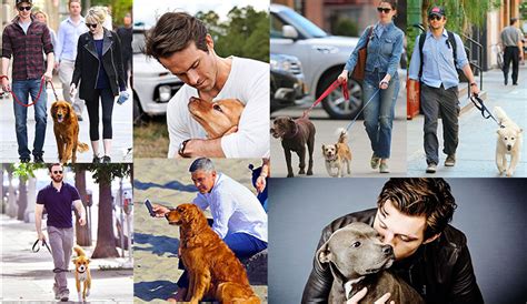 7 Hollywood Stars Who Are Madly In Love With Dogs Budgetpetworld