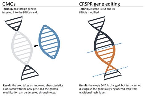 What Is The Significance Of The Genome Technique