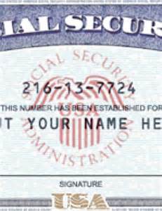 If you need a replacement social security card, you can apply for one free online at the social security website — but only if you live in one of the 40 states that permit this for all citizens age 18 or older. Drivers License - Fake Drivers License - Drivers License PSD | SSN