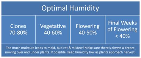 Check spelling or type a new query. Indoor Humidity Control for Growing Cannabis - What You ...