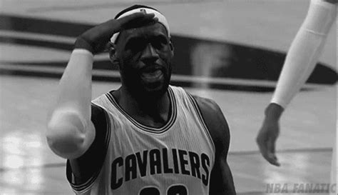 Lebron James King James  Wiffle