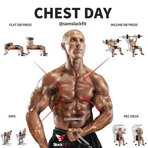 4 Best Chest Exercises For Building Muscle Best Chest Workout