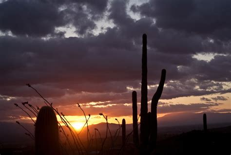 Tucson Sunrise Free Stock Photo Public Domain Pictures