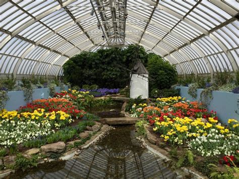 9 Things You Should Know Before You Visit Phipps Conservatory And