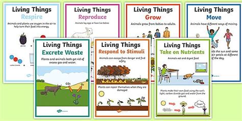 A Set Of Posters Detailing The Seven Characteristics Of Living Things