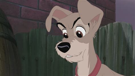 Lady And The Tramp Ii Scamps Adventure Screenshots