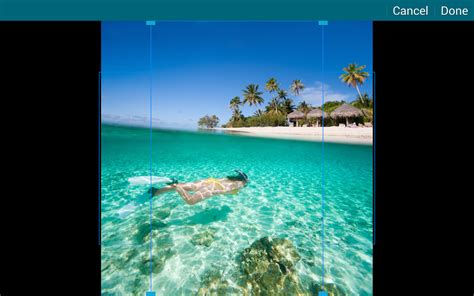 Free Download Summer Wallpapers 4k Screenshot 1440x900