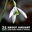 31 Quotes About January And What Makes It Unique  Holidappy