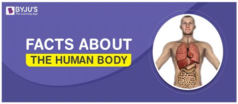 quick and fascinating facts about the human body sexiz pix