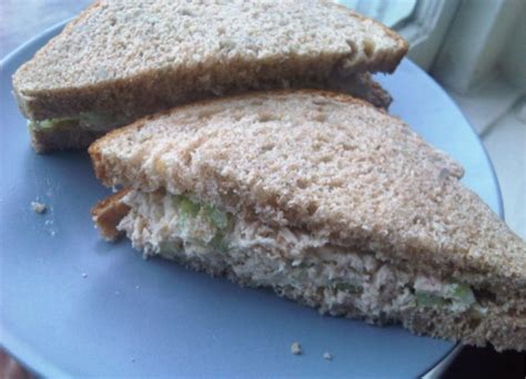 Simple Tuna Sandwich Recipe Sparkrecipes