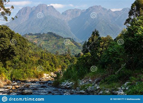 The Peaks Of Rwenzori Mountains In Uganda Stock Image Image Of Green