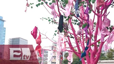 Colocan árbol Rosa En Reforma Para Concientizar Sobre