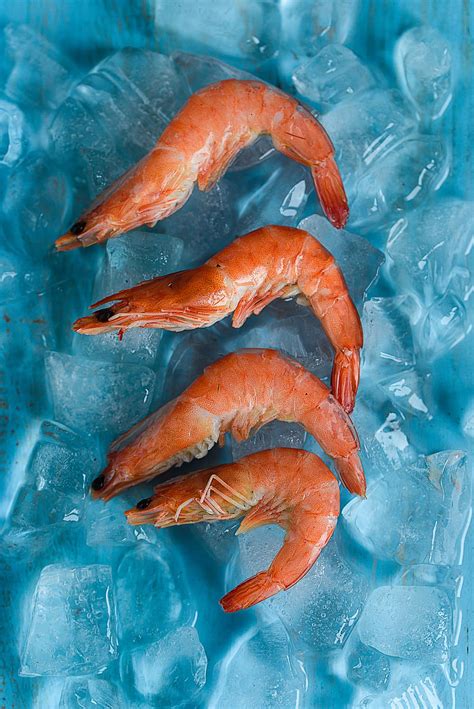 Hd Wallpaper Four Shrimps On Top Of Ice Food Seafood Animal Sea