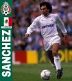 Hugo Sanchez Marquez. | Leyendas de futbol, Fotos de fútbol, Fotos real ...