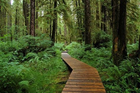 25 Incredible Hiking Trails in British Columbia - BCLiving