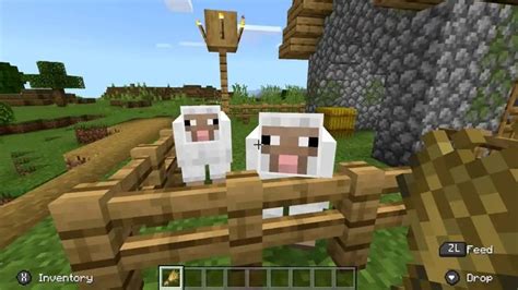[answered] What Do Sheep Eat In Minecraft And How To Breed Them