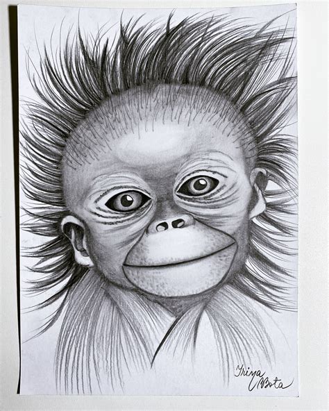 Best Free Monkey Pencil Sketch Drawing Free For Download Sketch Art