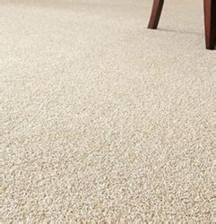 Argos carpets, installer of top quality hardwood flooring, carpets & laminate flooring across ottawa and ontario Carpet Flooring, Carpet Flooring Service in India