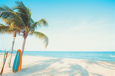 Surf Board On Tropical Beach Stock Photo Download Image Now Istock