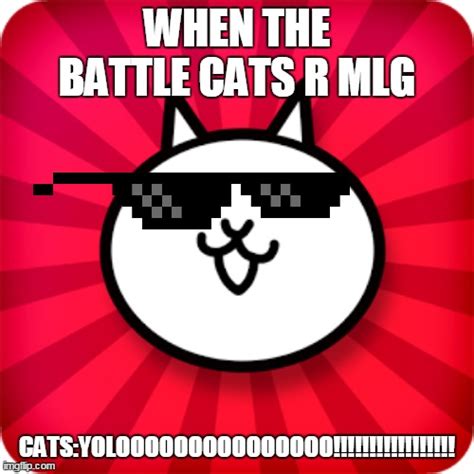 Image Tagged In The Battle Catslolcats Imgflip