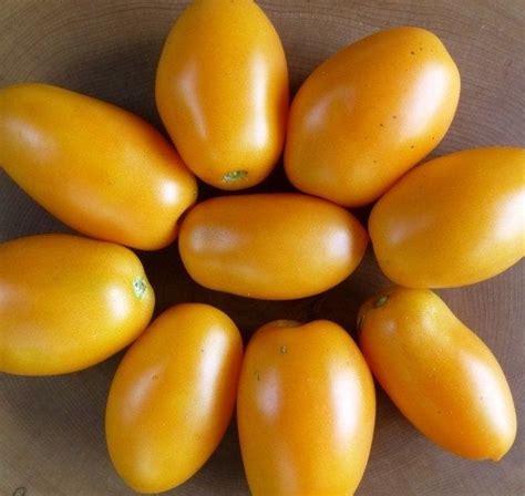 Orange Banana Paste Tomato Seeds Organic Heirloom Indeterminate Variety
