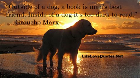 Mans Best Friend Dog Quotes. QuotesGram