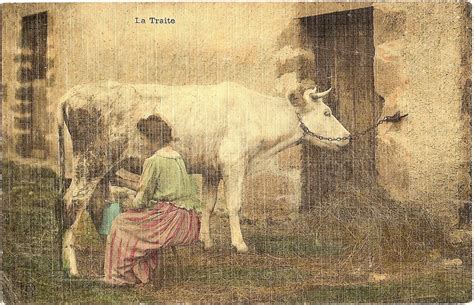 La Traite Dune Vache Carte Postale Ancienne Et Vue Dhier Et Aujourdhui Geneanet